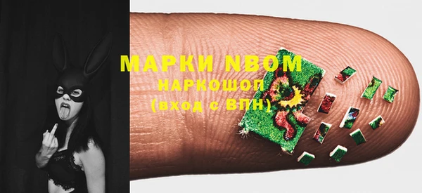 спиды Вяземский