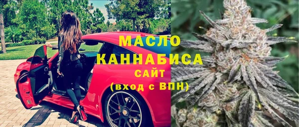 ECSTASY Горняк