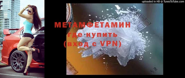 спиды Вяземский