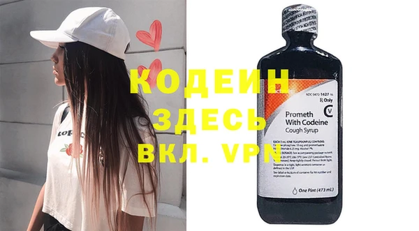 спиды Вяземский