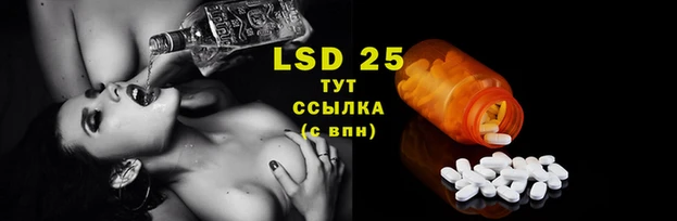 спиды Вяземский