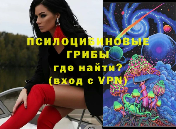 спиды Вяземский