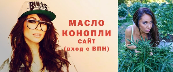 ECSTASY Горняк