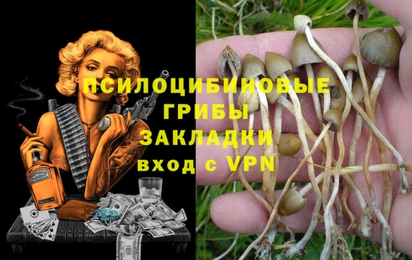 ПСИЛОЦИБИНОВЫЕ ГРИБЫ Вязьма