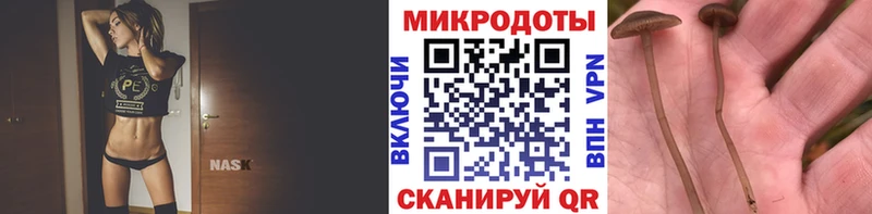 Галлюциногенные грибы прущие грибы  Купить  Гороховец 