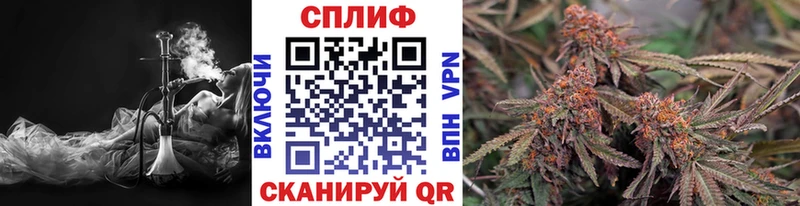 Конопля индика Гороховец